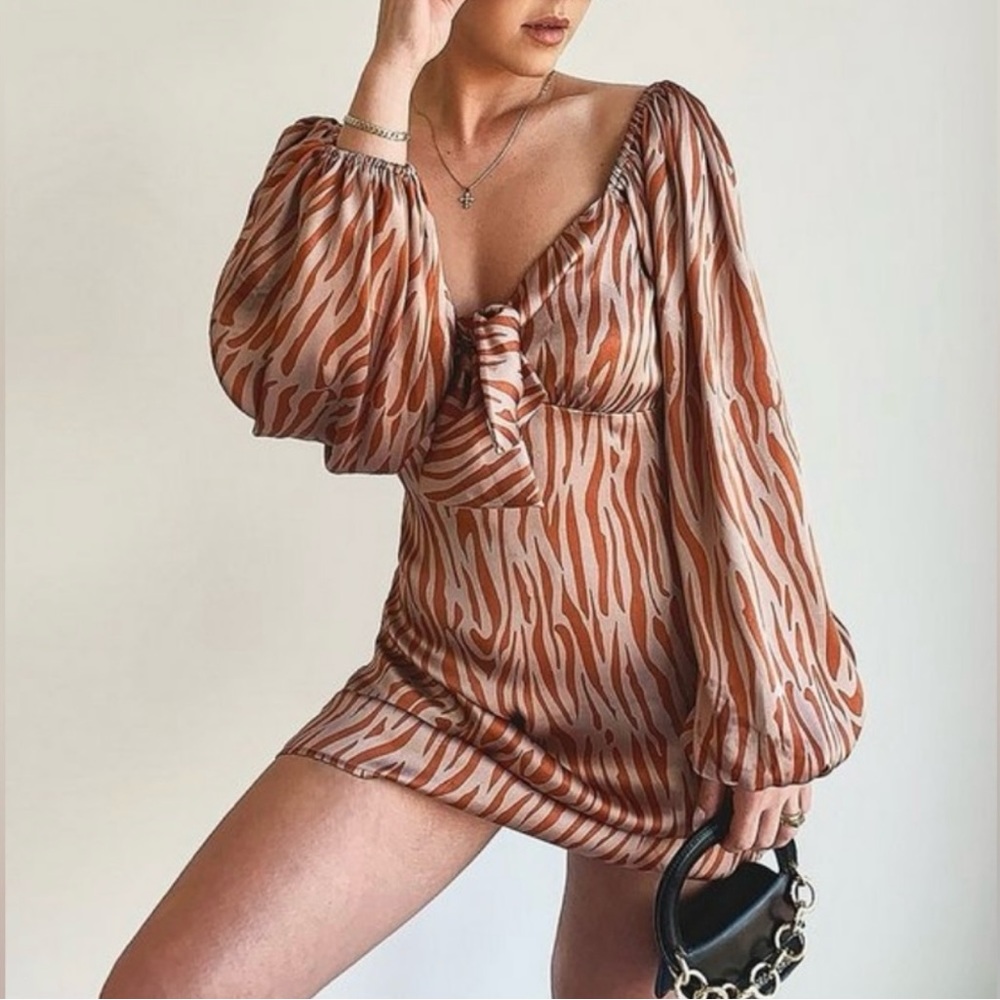 Zebra print dress